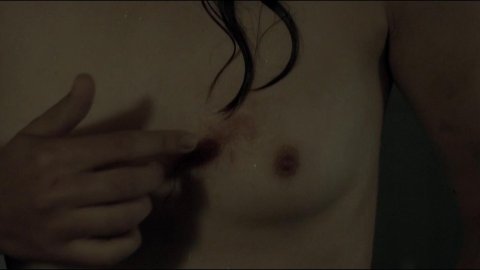 Sonia Suhl - Nude & Sexy Videos in When Animals Dream (2014)