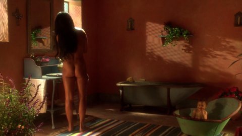 Lisa Comshaw, Jo Champa - Nude & Sexy Videos in Don Juan DeMarco (1995)